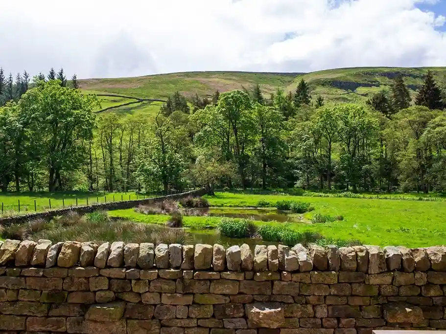 A sturdy stone wall adjacent to a grassy field dotted with trees, showcasing temper's commitment to sustainability